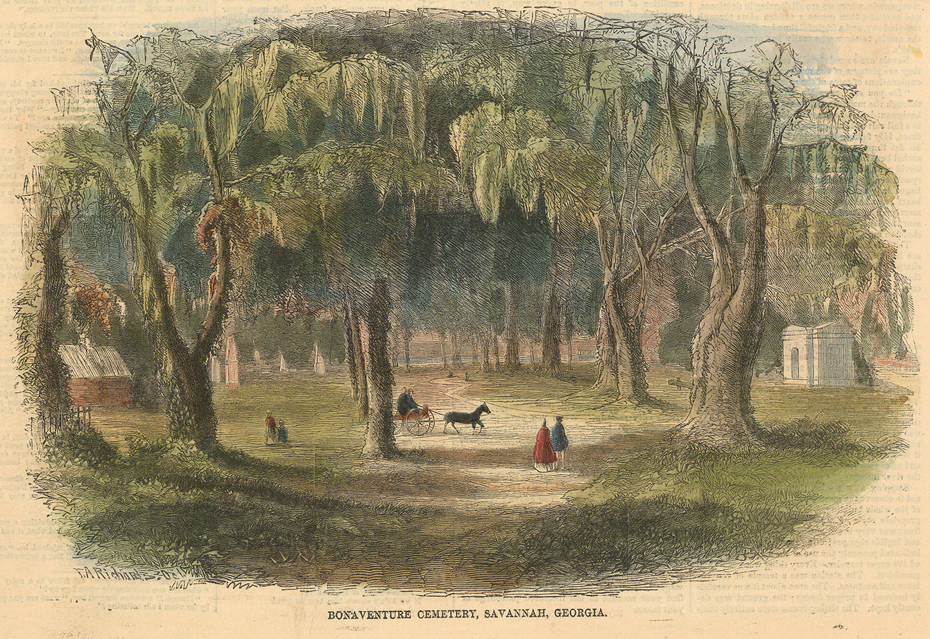 Bonaventure Cemetery, Savannah, Georgia.