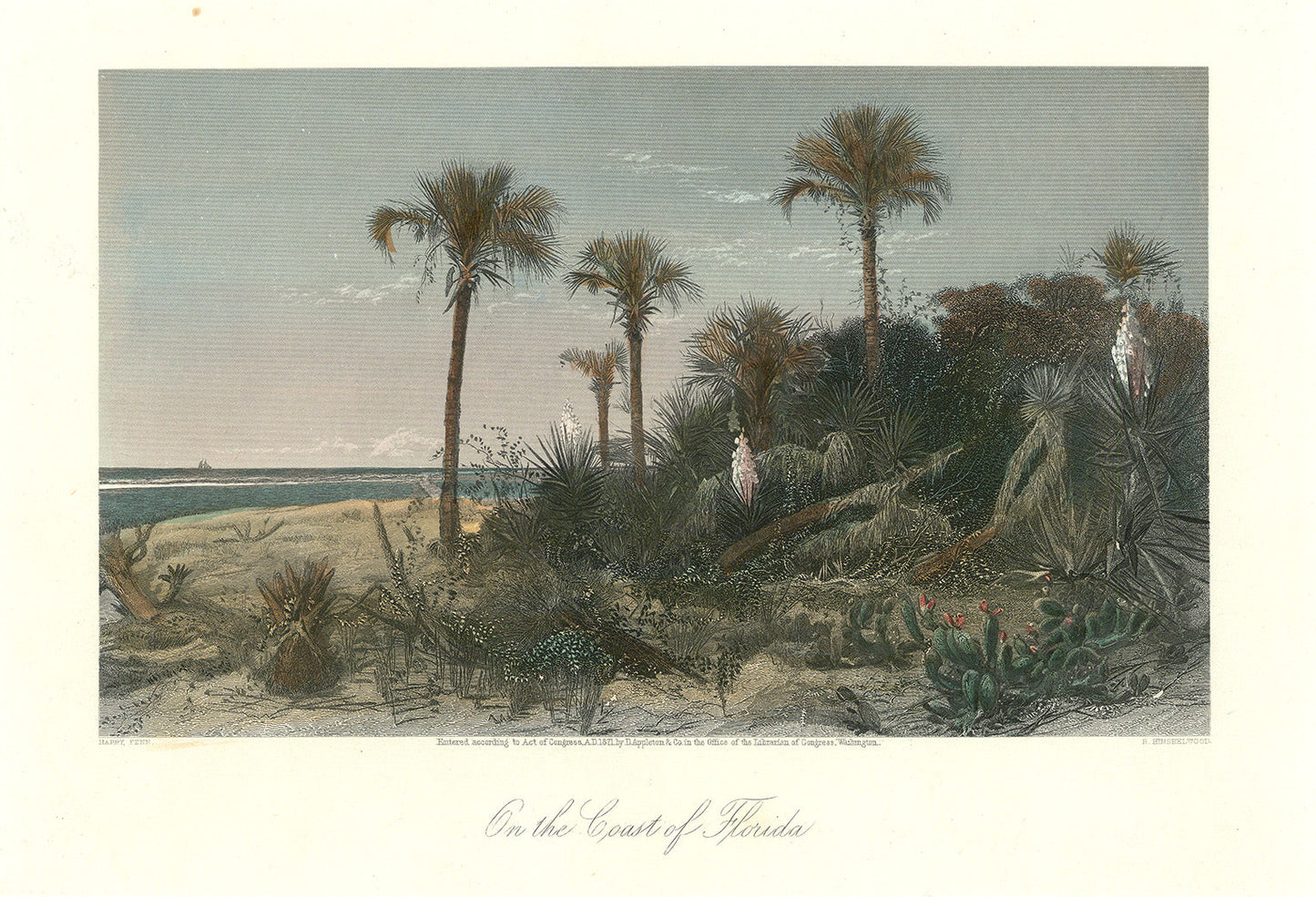 On the Coast of Florida.