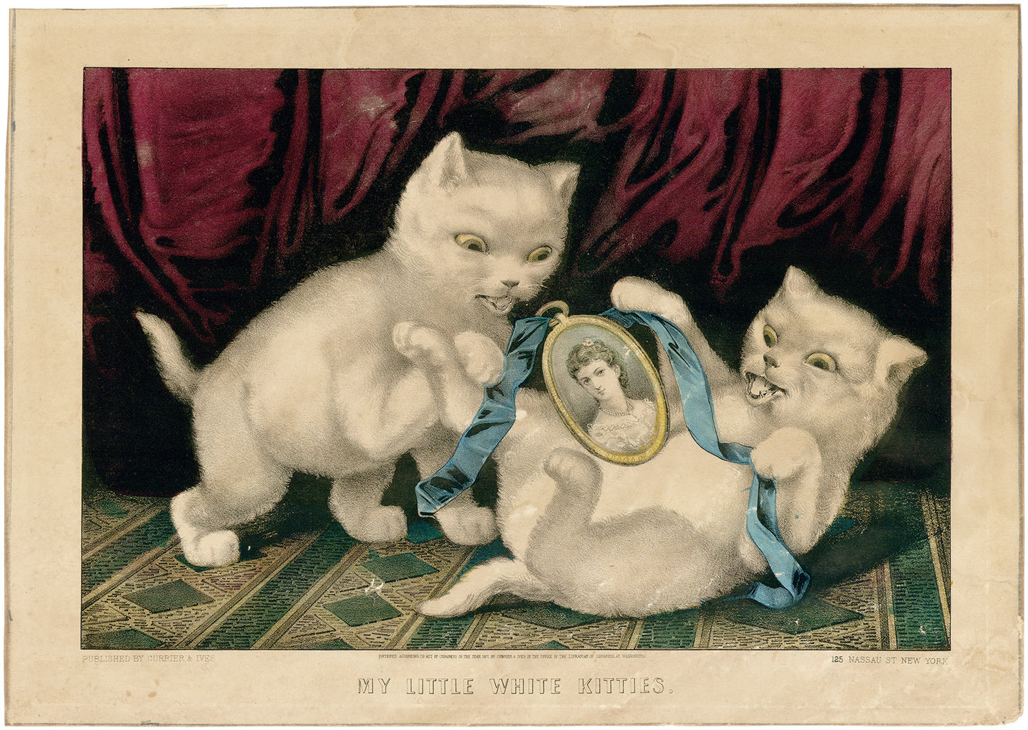 My Little White Kitties.