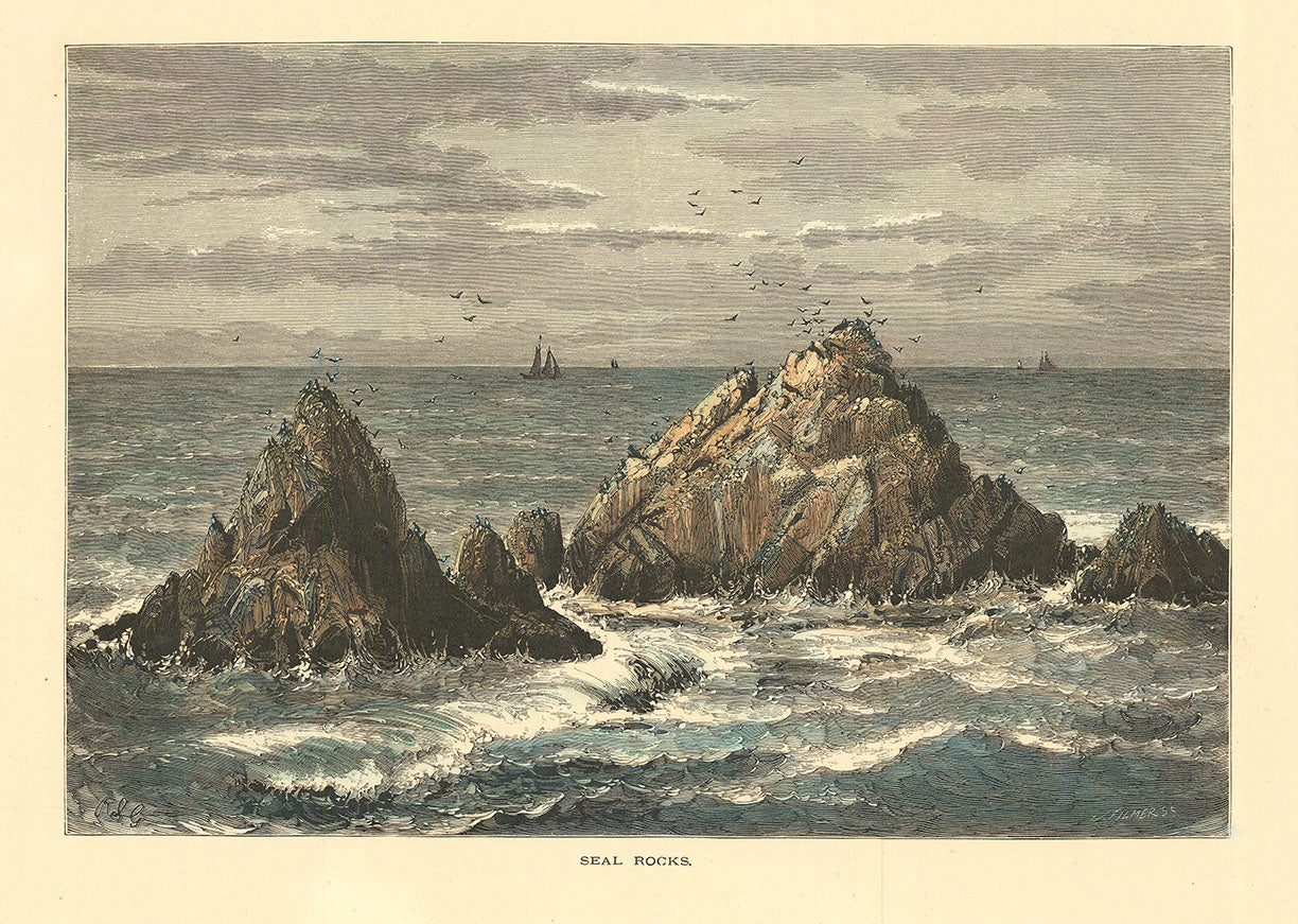Seal Rocks.