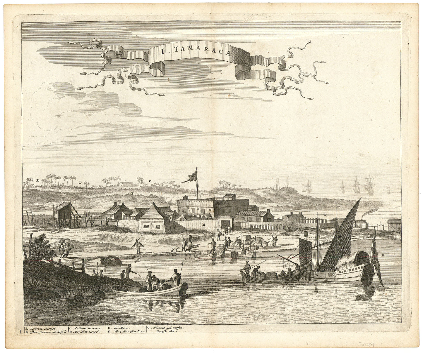 I. Tamaraca. (Brazil)