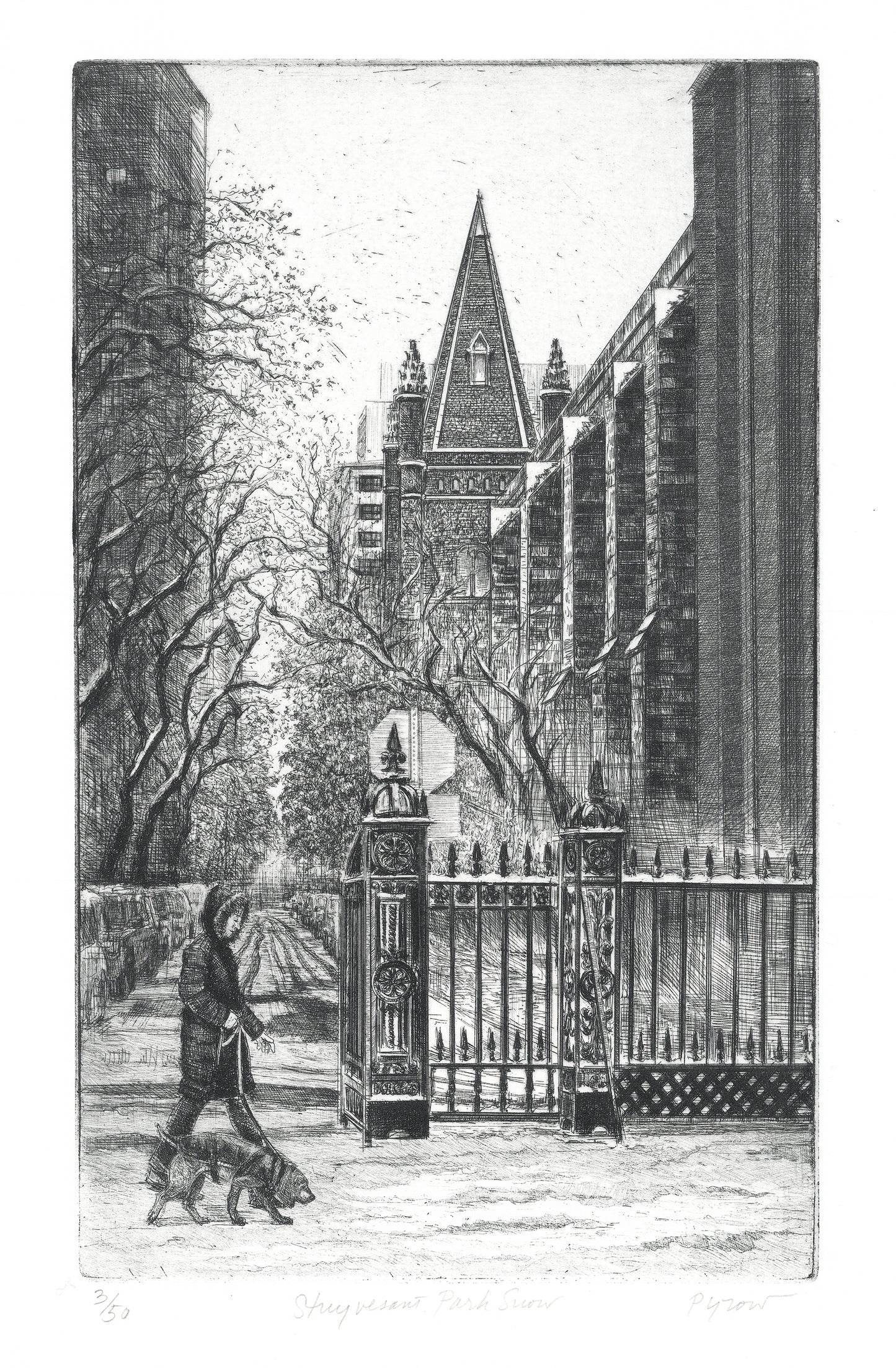 Stuyvesant Park Snow.