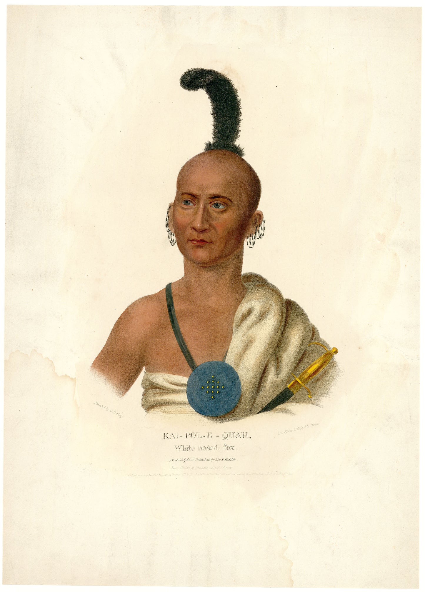 KAI-POL-E-QUAH. White nosed fox.