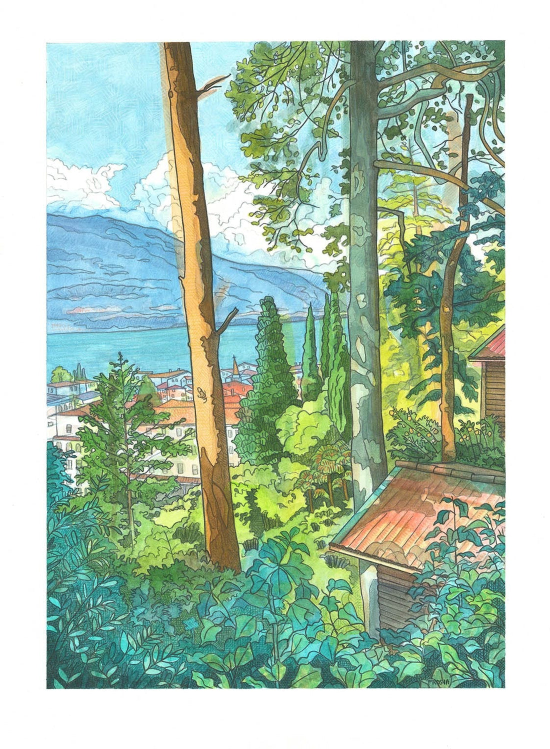 DeAnn Prosia: Watercolors and Prints