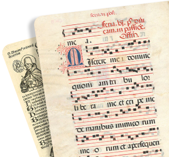 Calligraphy & Typography