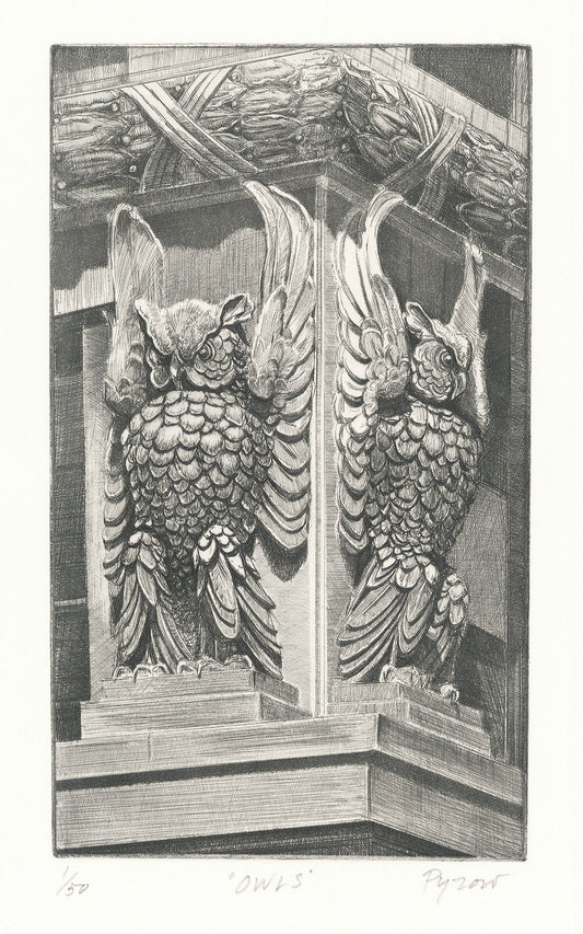 Owls.