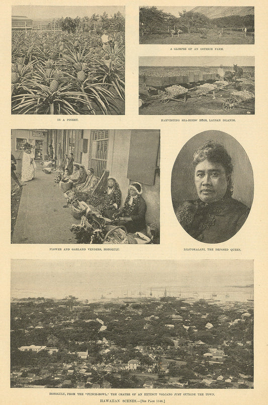 Hawaiian Scenes.