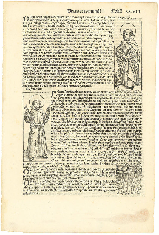 Folium CCVIII from the Nuremberg Chronicle.