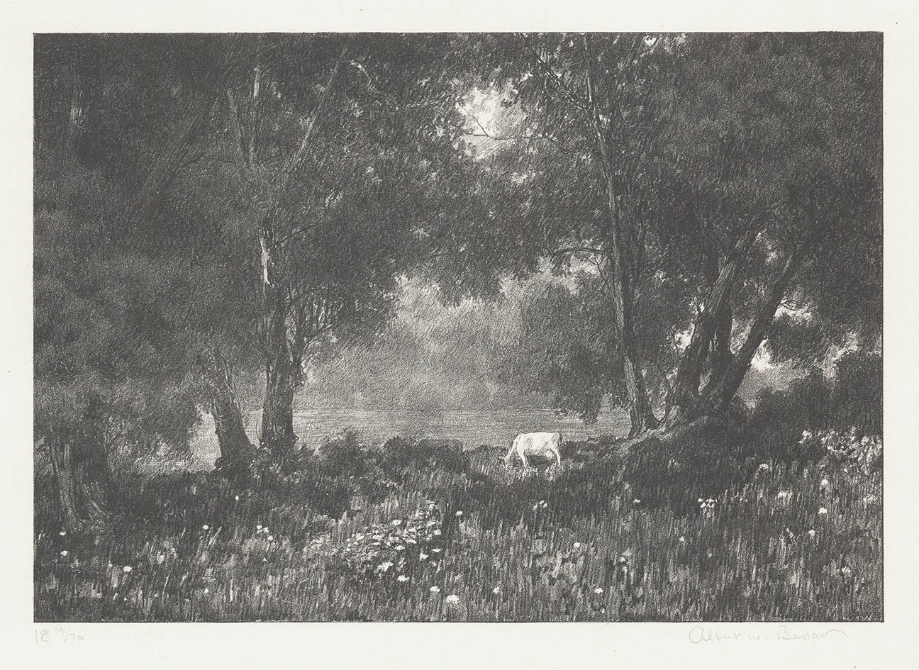 The Enchanted Meadow.