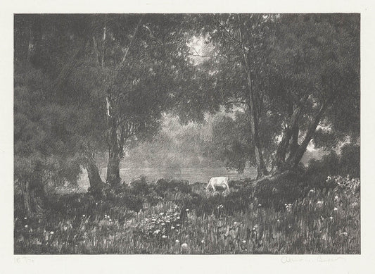 The Enchanted Meadow.