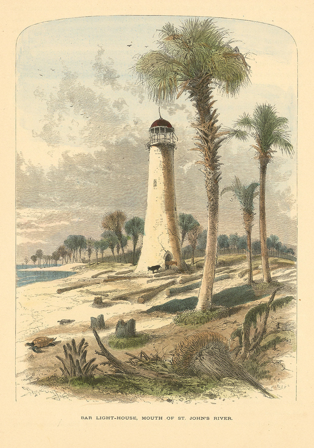 Bar Light-House, Mouth of St. John's River.