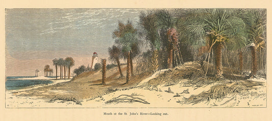 Mouth of the St. John's River-Looking out.