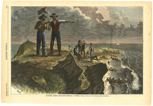 Mackerel Fishing - Signal-Men Sighting a "School."