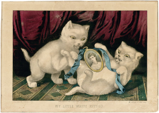 My Little White Kitties.