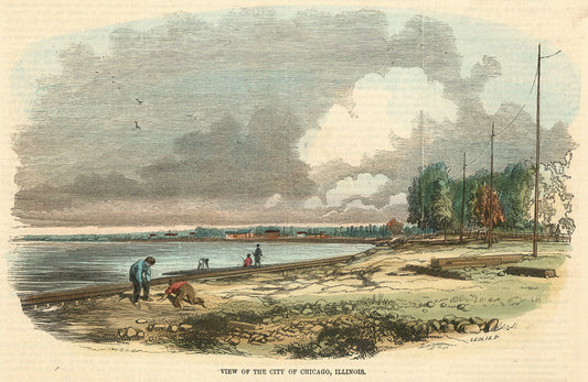 View of the City of Chicago, Illinois.