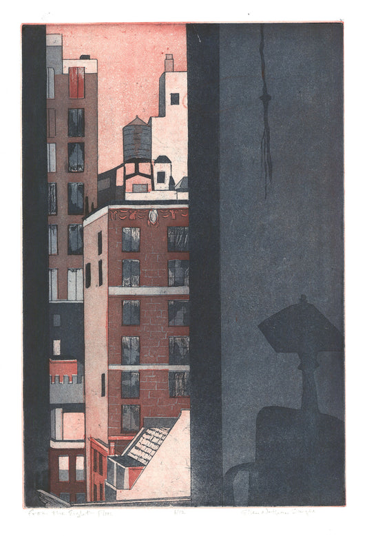 From the Eighth Floor. (New York City.)