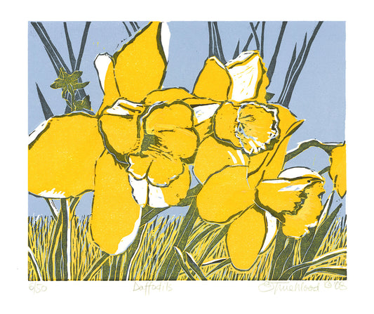 Daffodils.
