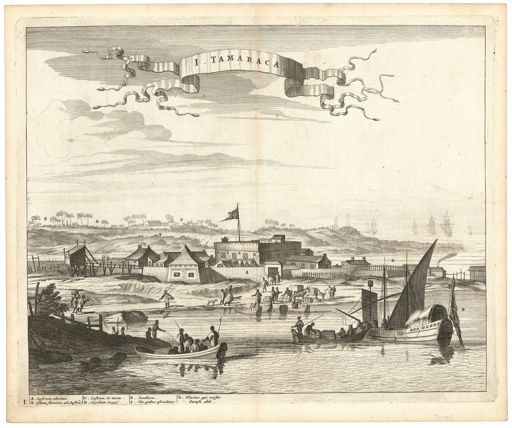 I. Tamaraca. (Brazil)