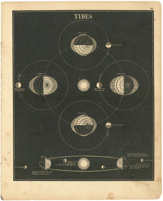 Smith's Explanation of the Tides.