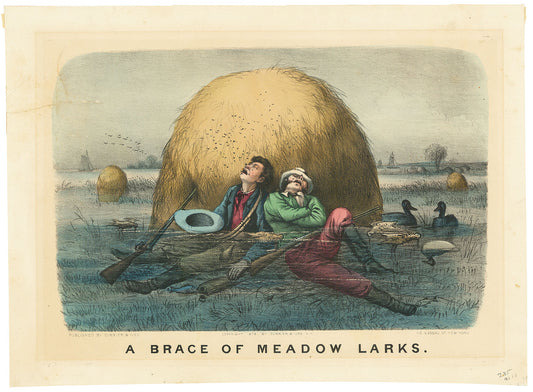 A Brace of Meadow Larks.