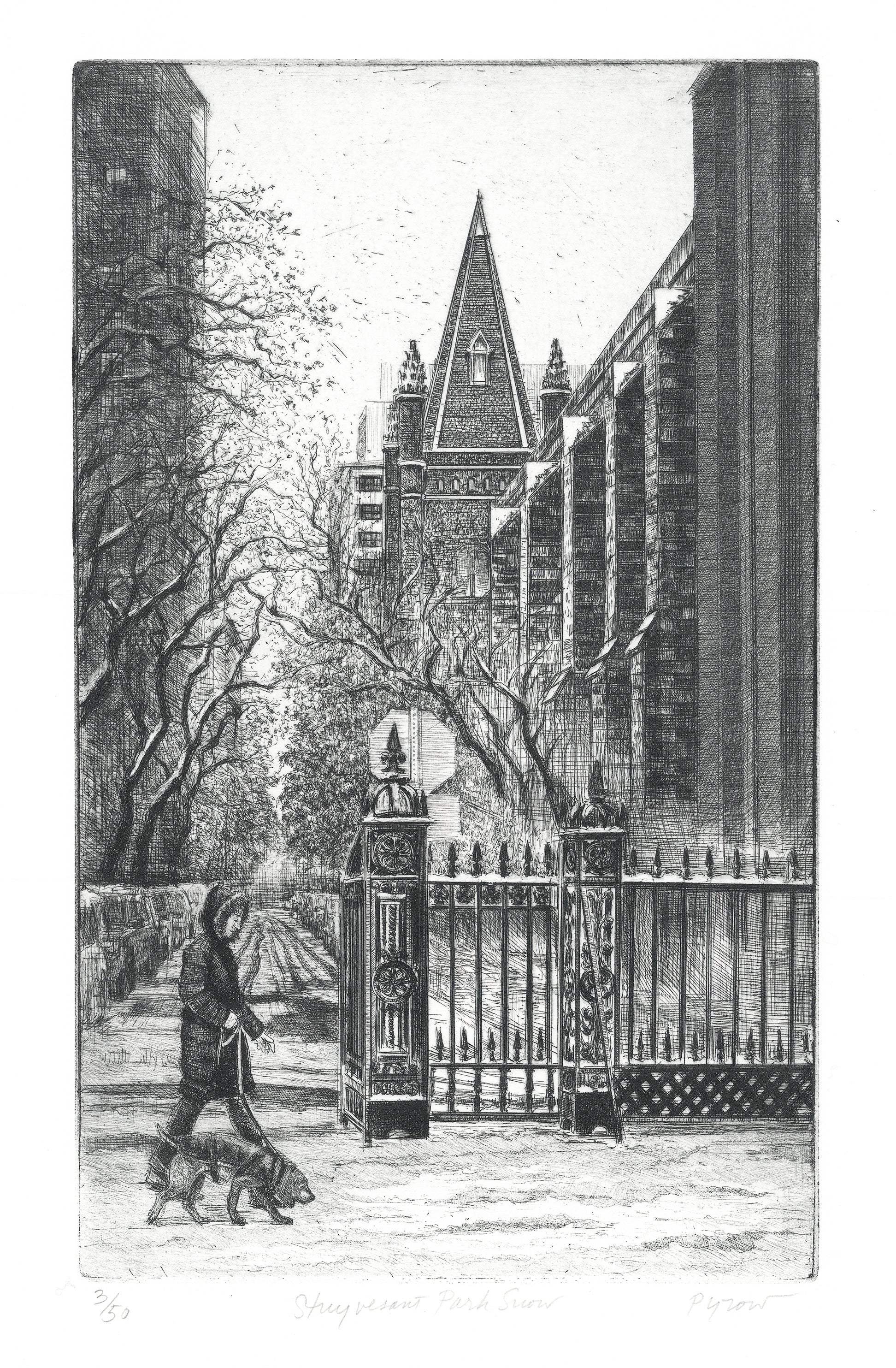 Stuyvesant Park Snow.