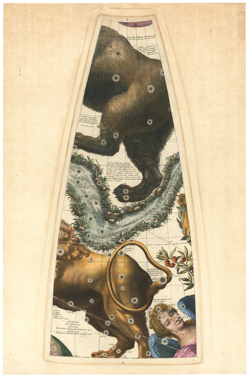 Celestial Globe Gore.