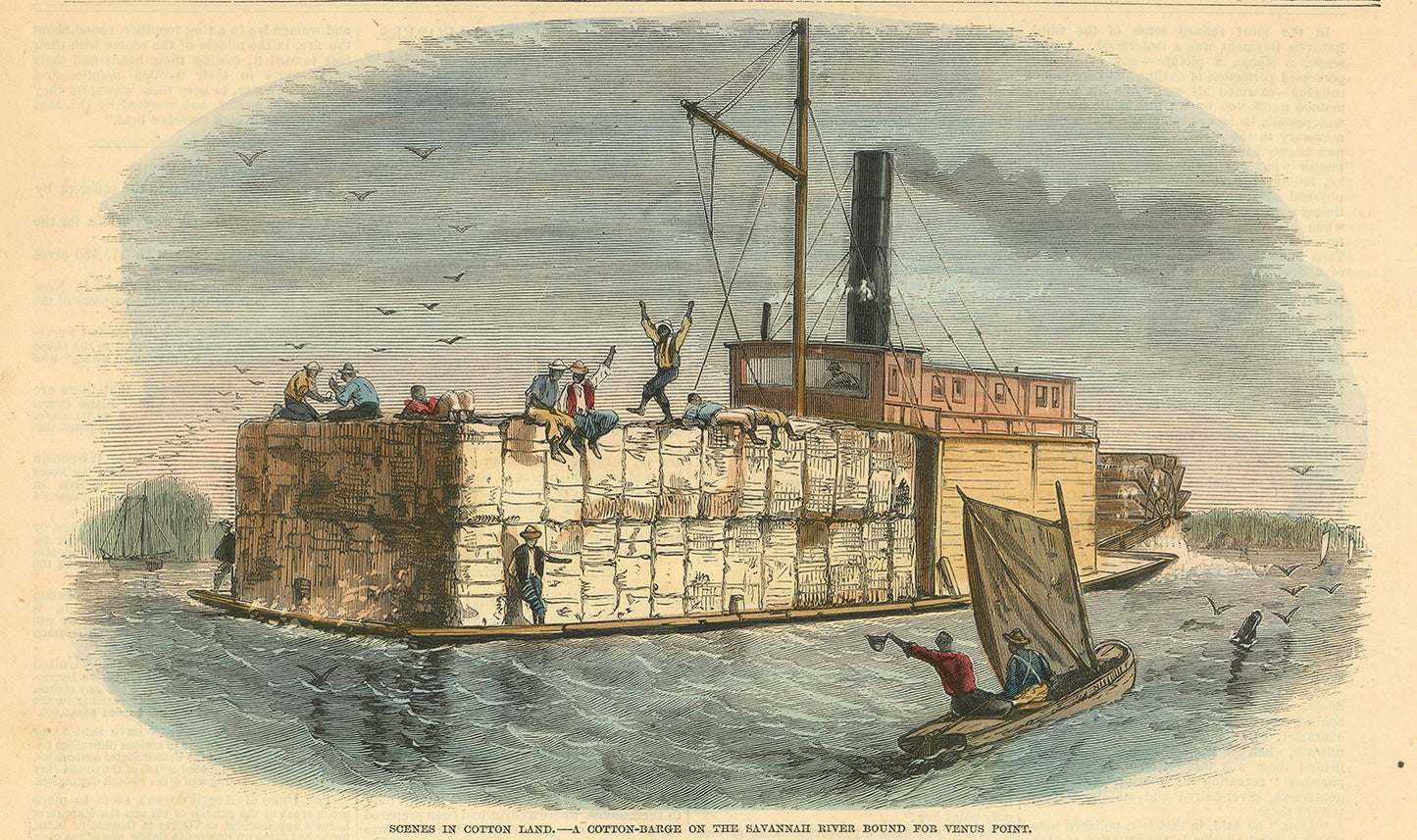 Scenes in Cotton Land. - A Cotton-Barge on the Savannah River Bound for Venus Point.
