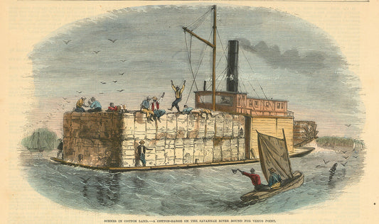 Scenes in Cotton Land. - A Cotton-Barge on the Savannah River Bound for Venus Point.