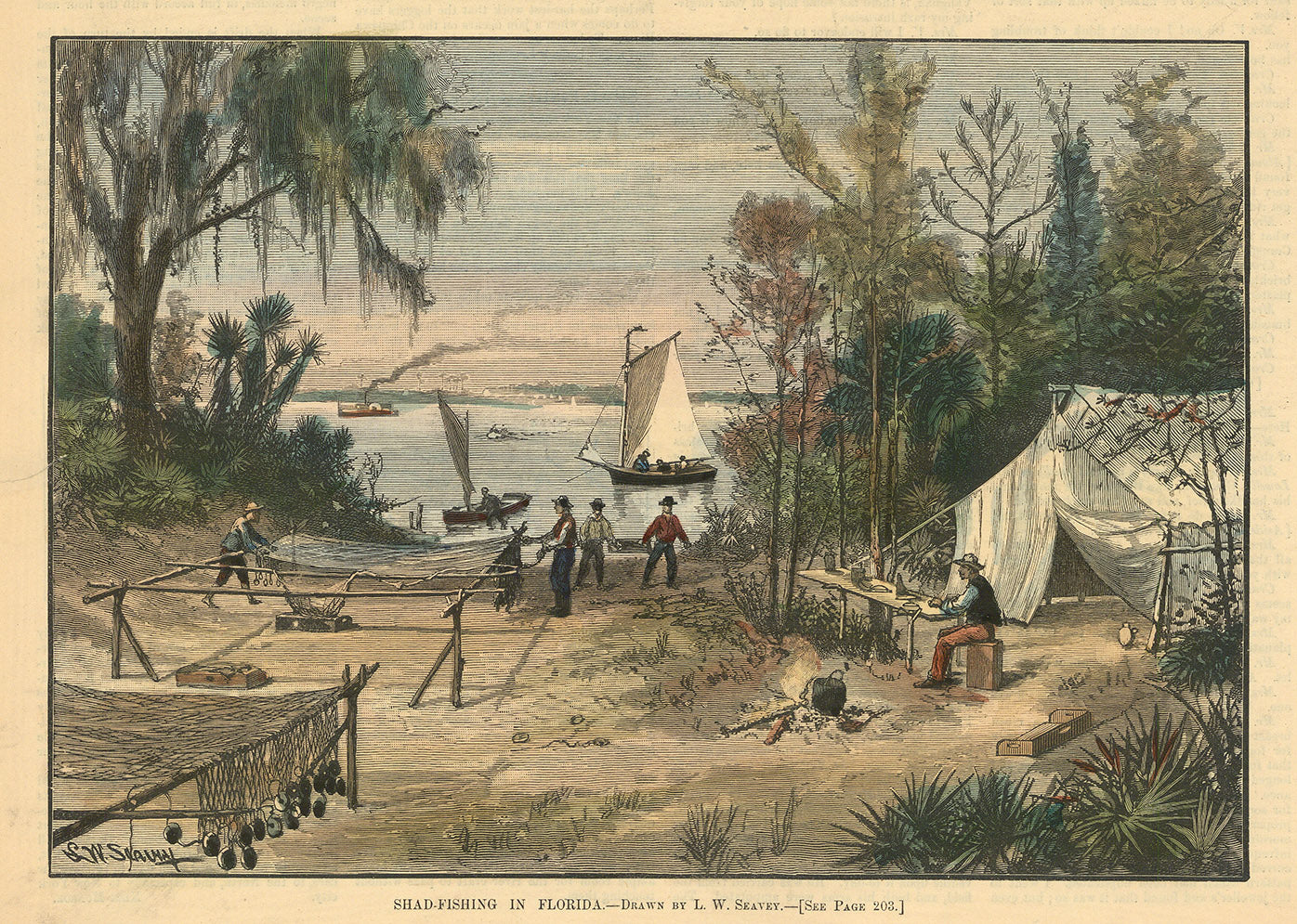 Shad-Fishing in Florida.