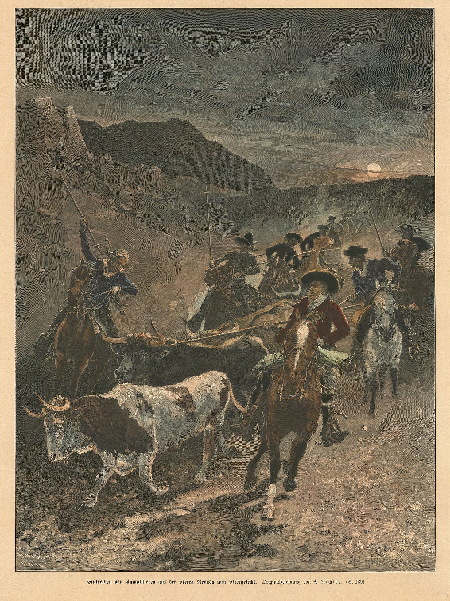 Eintreiben von Stampfftieren aus der Sierra Nevada zum Stiergefecht. (Driving stampeding animals from the Sierra Nevada for bullfighting).