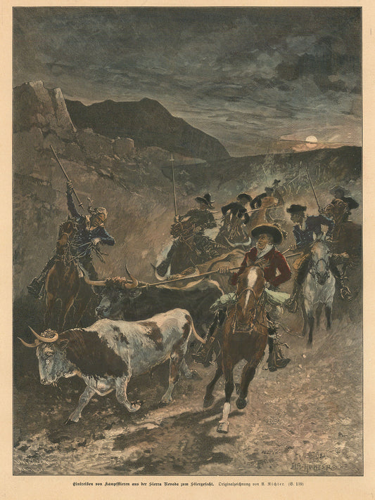 Eintreiben von Stampfftieren aus der Sierra Nevada zum Stiergefecht. (Driving stampeding animals from the Sierra Nevada for bullfighting).