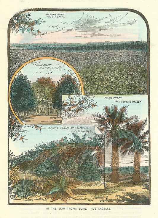 In the Semi-Tropical Zone, Los Angeles.