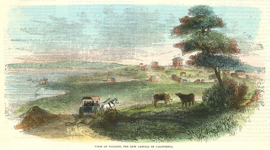 View of View of Vallejo, the New Capital of California.
